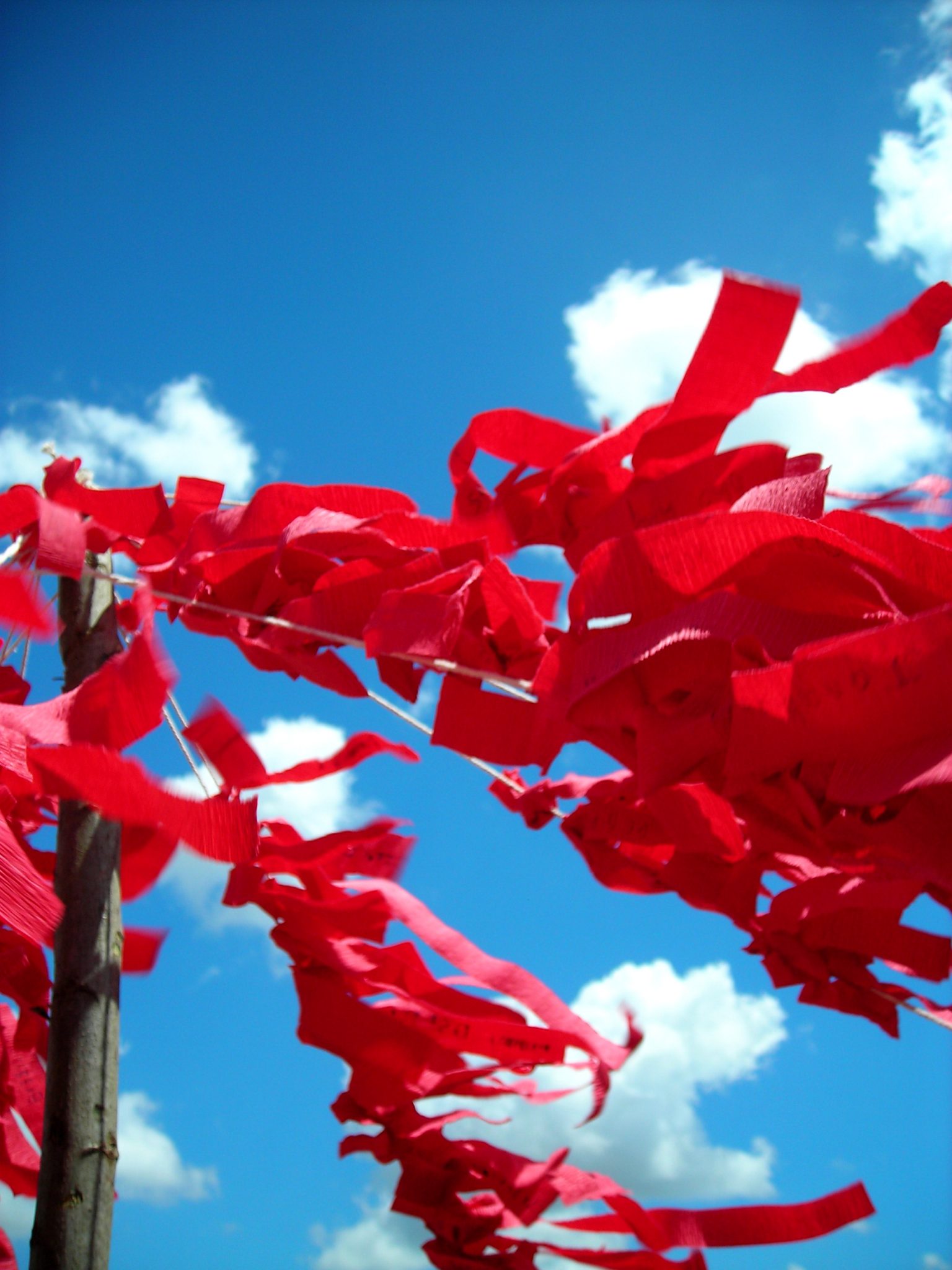 Нон спид. Red ribbon and Flowers.